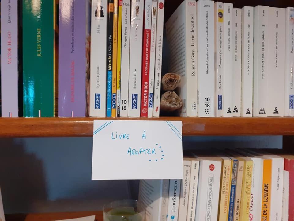 Des Feuilles Et Des Hiboux Hotel Plescop Eksteriør billede